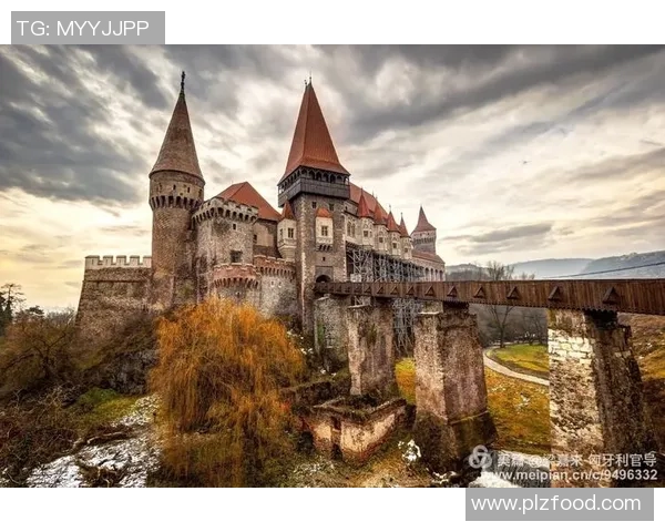 足球明星背后的真实故事与纯洁心灵的探寻之旅