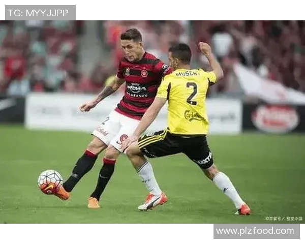 切尔西与狼队激战正酣比分揭晓引发球迷热议