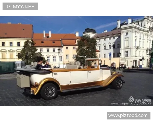 埃及与捷克足球明星的传奇故事与成就解析