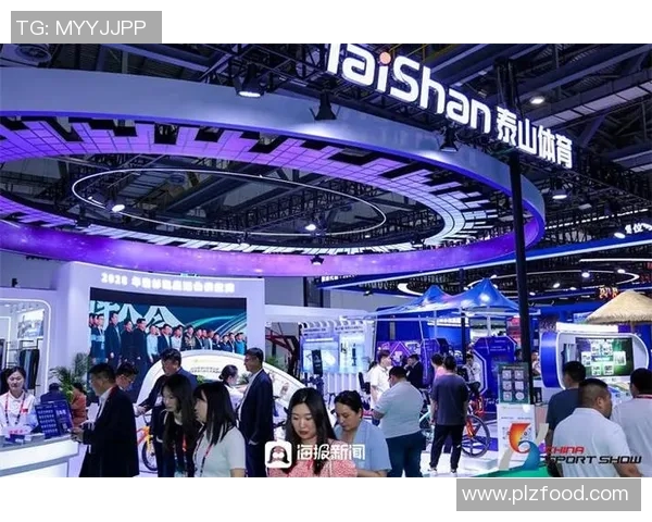 探索中国体育用品市场的十大国产品牌及其创新发展之路